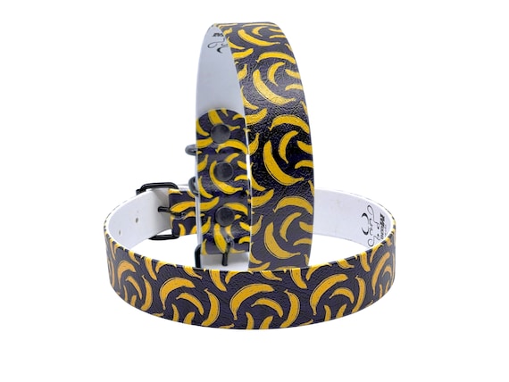 bissell bark bath amazon