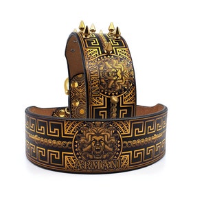 Versace Medusa Dog Collar