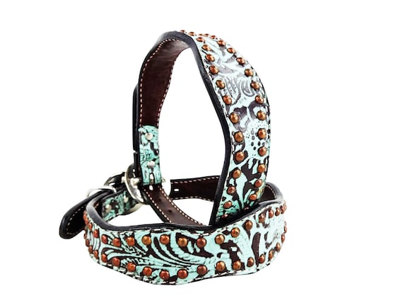 western style dog collars