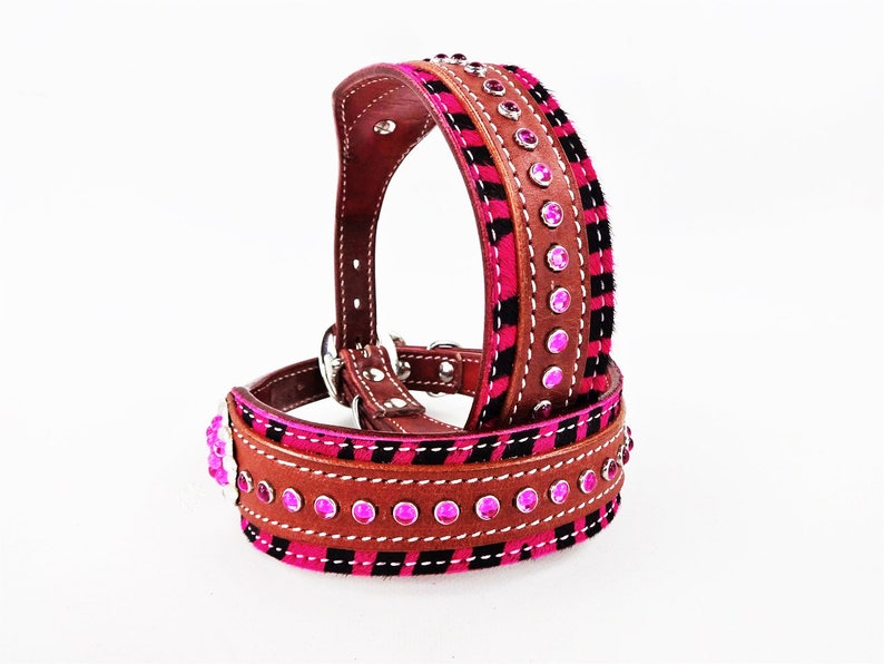 Hot Pink Collar Extra Large Dog Collar 16 Collar Etsy