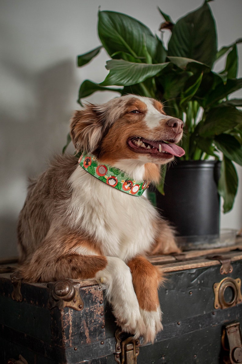 Green Leather Collar Strawberry Collar Fruit Dog Collar MadcoW X Dog Berry Fields Adjustable Leather Collar Rose Gold Hardware