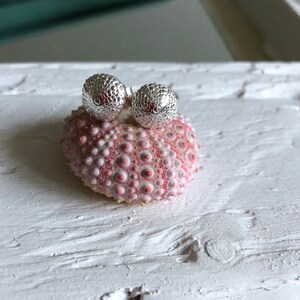May include: A pair of silver stud earrings with a textured, spherical design. The earrings are displayed on a pink sea urchin shell.
