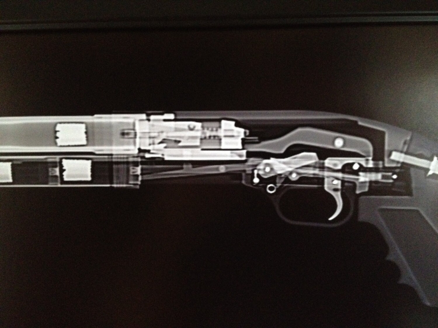 Shotgun CAT Scan Gun Print Ready to Frame Etsy