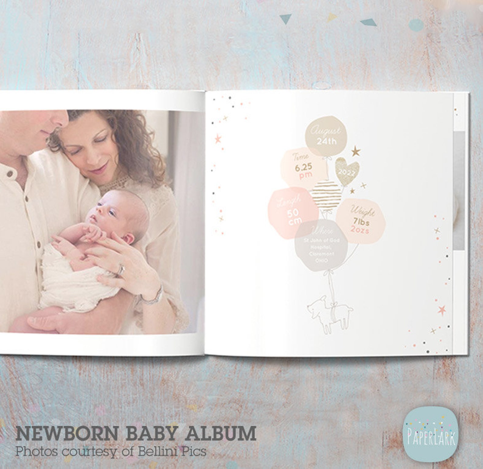 Buy DIY Editable Baby Photo Album Newborn Photography Baby Book Online