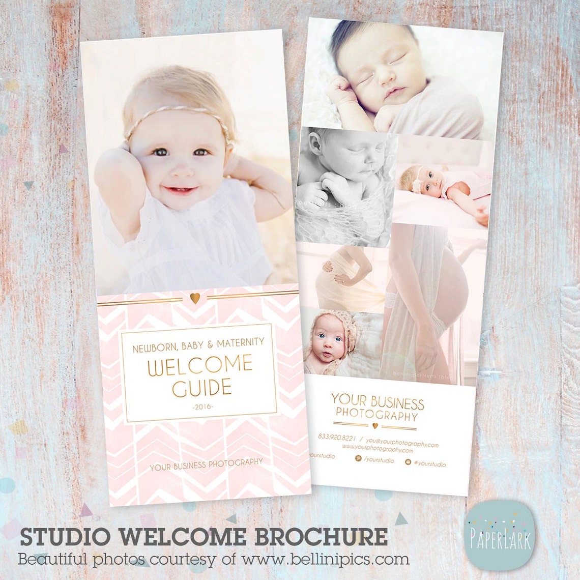 Client Guide Newborn Maternity and Baby Trifold Etsy