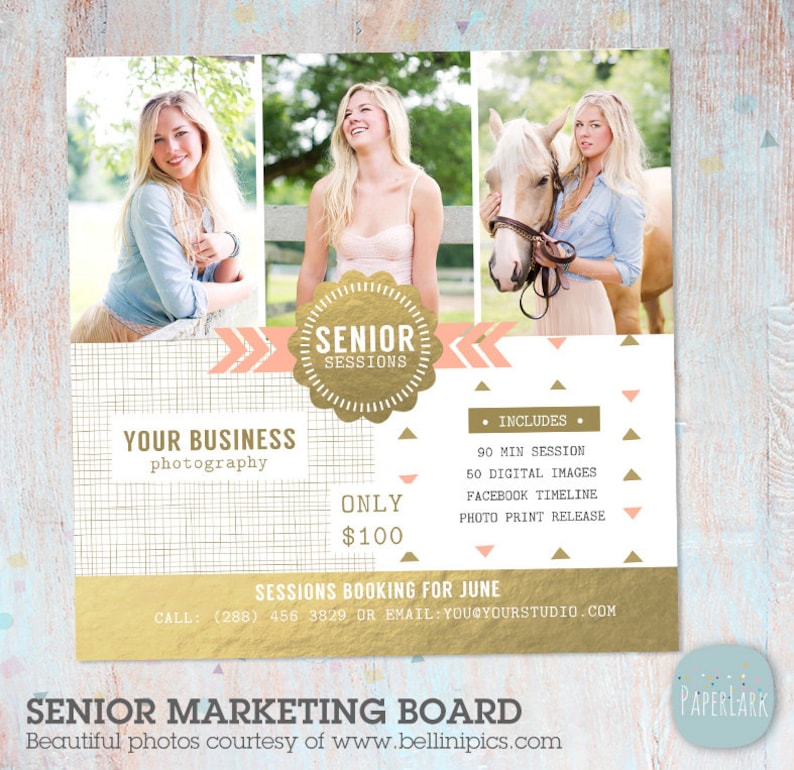 May include: A gold and pink marketing board for senior photography sessions. The board includes the text "Senior Sessions", "Your Business Photography", "Only $100", "Sessions Booking for June", and a list of what is included in the session: 90 min session, 50 digital images, Facebook timeline, and photo print release.
