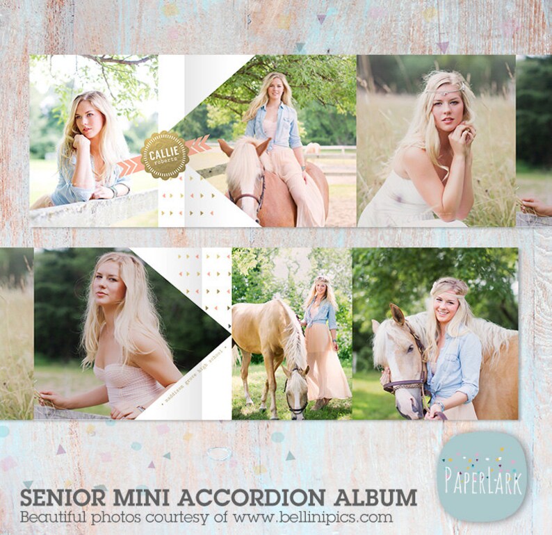 Puede incluir: Un &aacute;lbum de acorde&oacute;n mini para senior con un fondo azul claro y un patr&oacute;n geom&eacute;trico dorado y blanco. El &aacute;lbum presenta fotos de una joven con un caballo. La portada del &aacute;lbum tiene el texto "Senior Mini Accordion Album" y "Paperlark" en un c&iacute;rculo azul claro con lunares blancos.