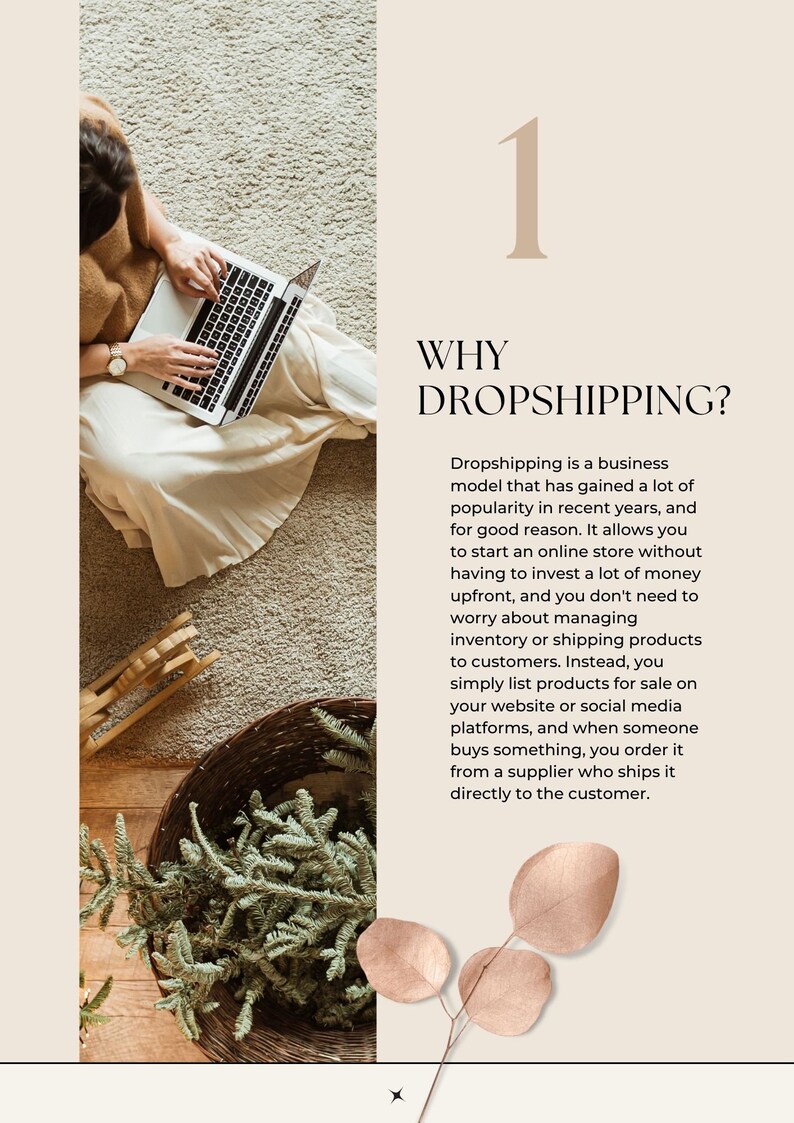 Drop Shipping Guide | Dropship | Amazon | Shopify | Make Money Online | Ebook | Mompreneur | Entrepreneur | Amazon Business Guide | TikTok image 10
