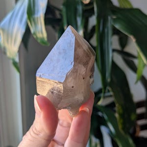 Smoky Quartz Point | Crystals | Minerals | Crystal Altar | Metaphysical Properties | Sacred Rocks