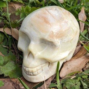 Tan Orange & Yellow Calcite Skull | Crystal Tower | Polished | Crystals | Minerals | Crystal Altar | Metaphysical Properties | Sacred Rock