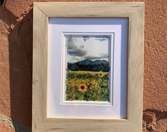 September Sunflowers - framed