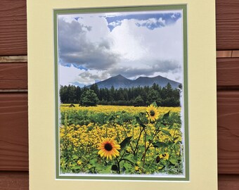 September Sunflowers -Large Matt, Yellow/Green