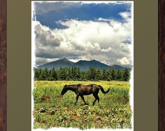 Mare in the Field - Green Matted Print