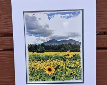 September Sunflowers Matted Print -white/blue