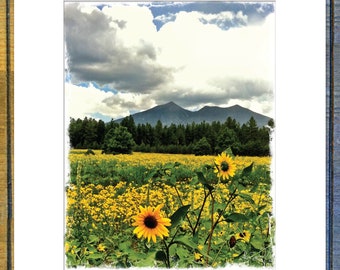 September Sunflowers - White Matted Print