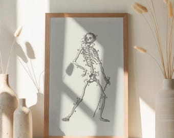 人間の骨格の描画 医学雑誌 白黒アンティーク ビンテージ写真イラスト