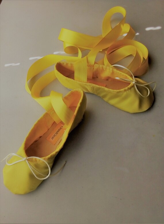 Children's ballet deals pointe shoes