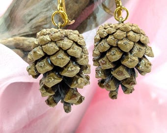 Scots Pinecone Earrings - Gold French Hooks, Natural Woodland Jewelry