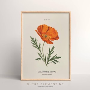 Papoula da Califórnia Vintage: Arte para download para a primavera, Impressão de flores silvestres antigas, Decoração de parede de flores do estado, Arte de parede de flores de laranjeira