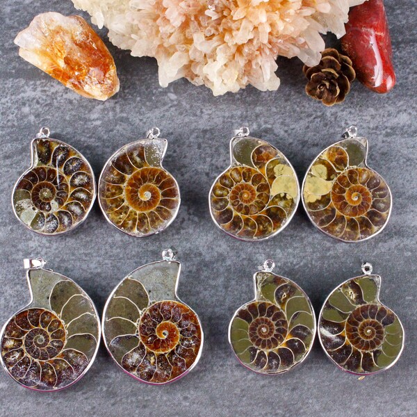 2 pcs Ammonite Pendants, C-D Grade, Snail Fossil Pendant Focal, Spiral Shell Pendant, Nautilus Pendant, Silver, 30x35-40x45mm, H59