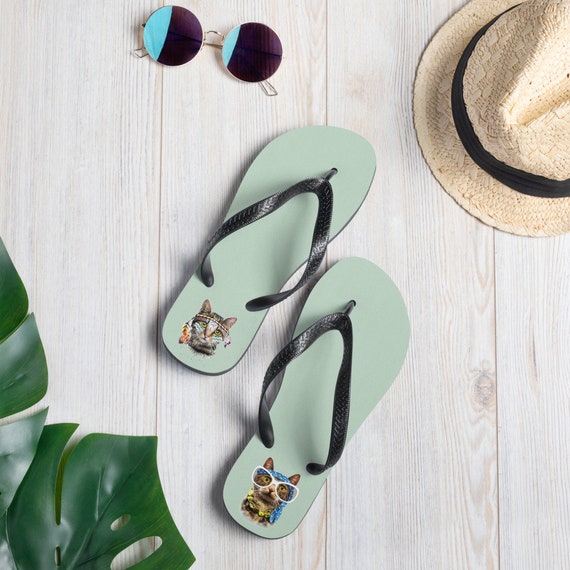 cat in a flip flop