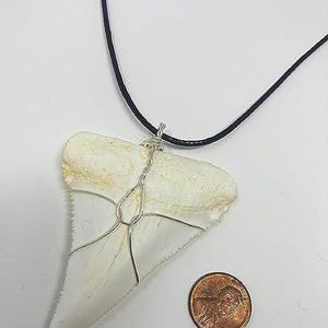 Shark Tooth Necklace – Great White Fossil Replica Pendant, Beach Jewelry for Surfers & Shark Lovers