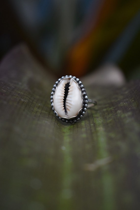 cowrie shell ring