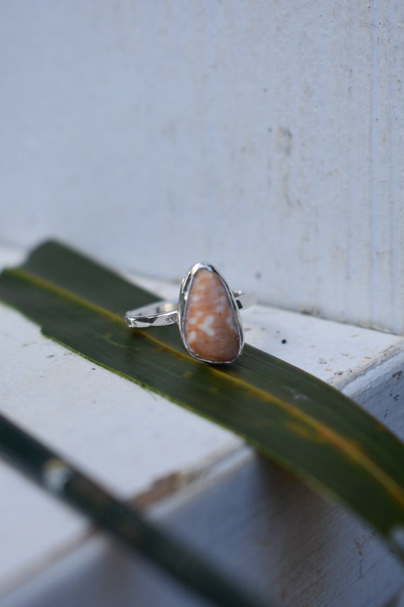 Cone shell piece ring