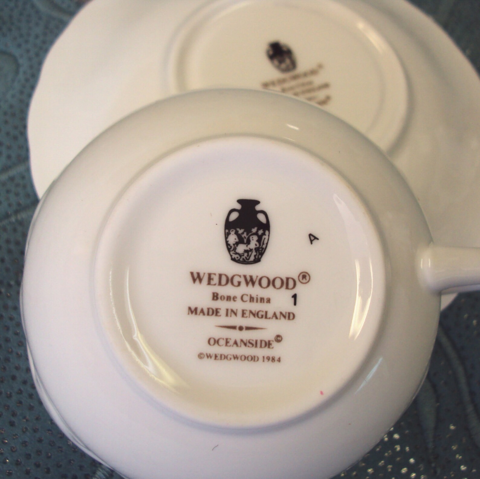 Wedgwood Oceanside Sea Shell English Cup and Saucer Etsy