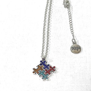 May include: A silver necklace with a puzzle piece pendant featuring colorful rhinestones. The pendant is made up of five puzzle pieces. The necklace also includes a small silver charm with the word "Hope" on it.