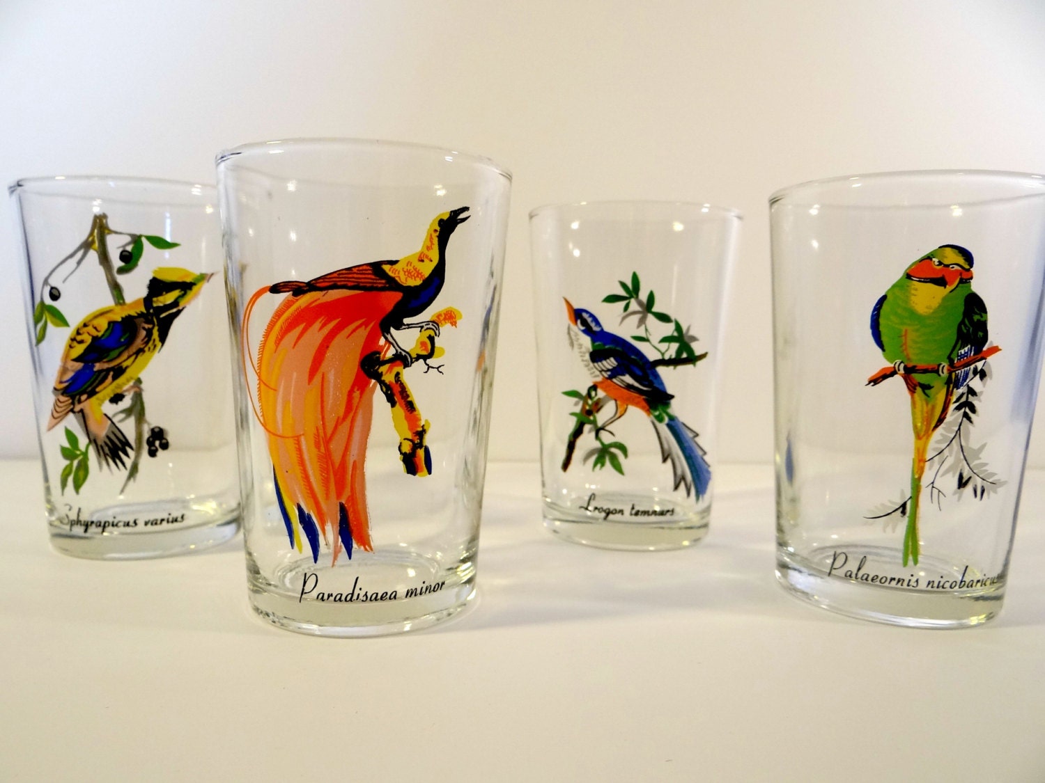 Vintage Exotic Bird Glasses Set Bird Glassware Set Hand Etsy
