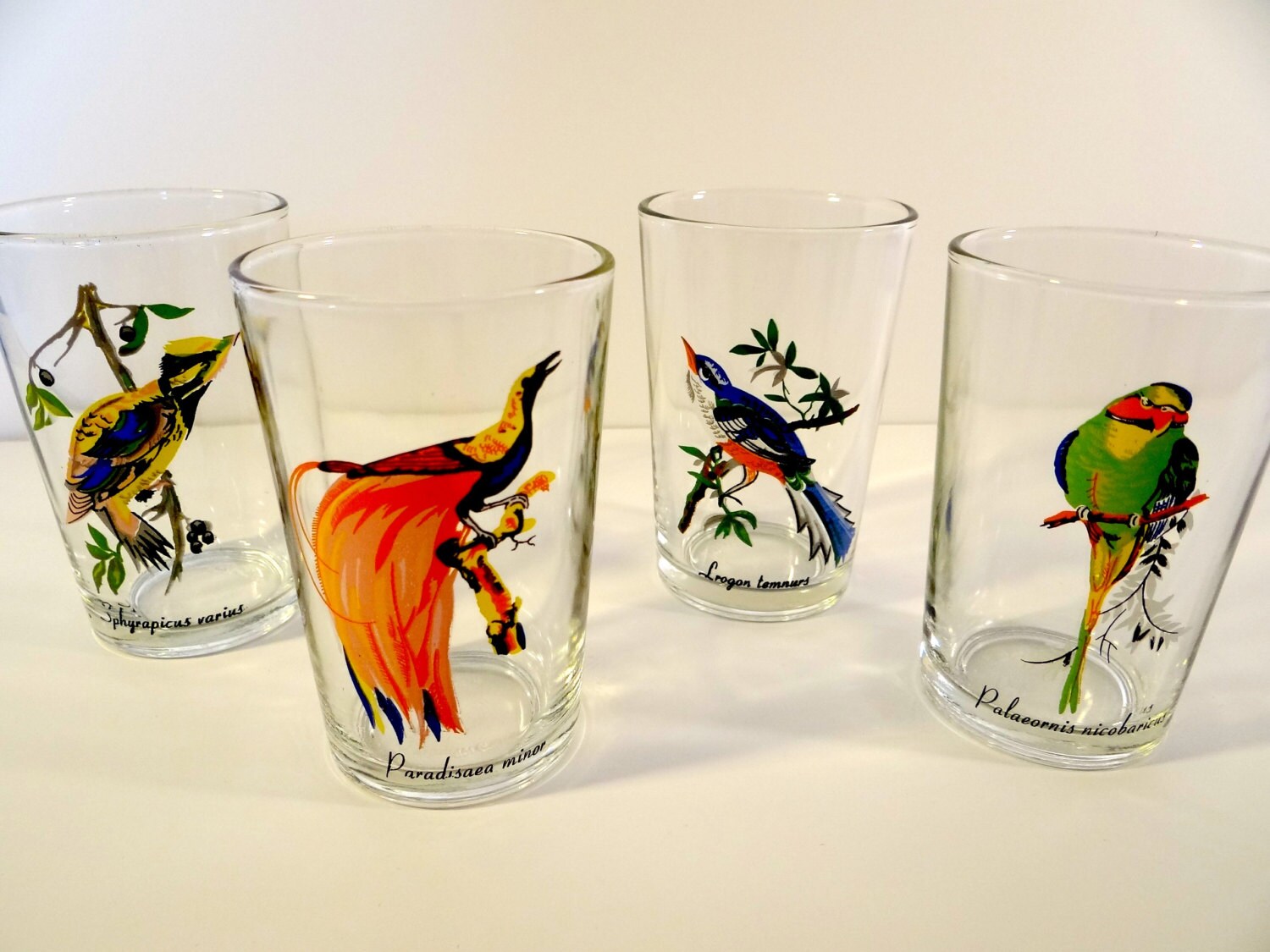 Vintage Exotic Bird Glasses Set Bird Glassware Set Hand Etsy