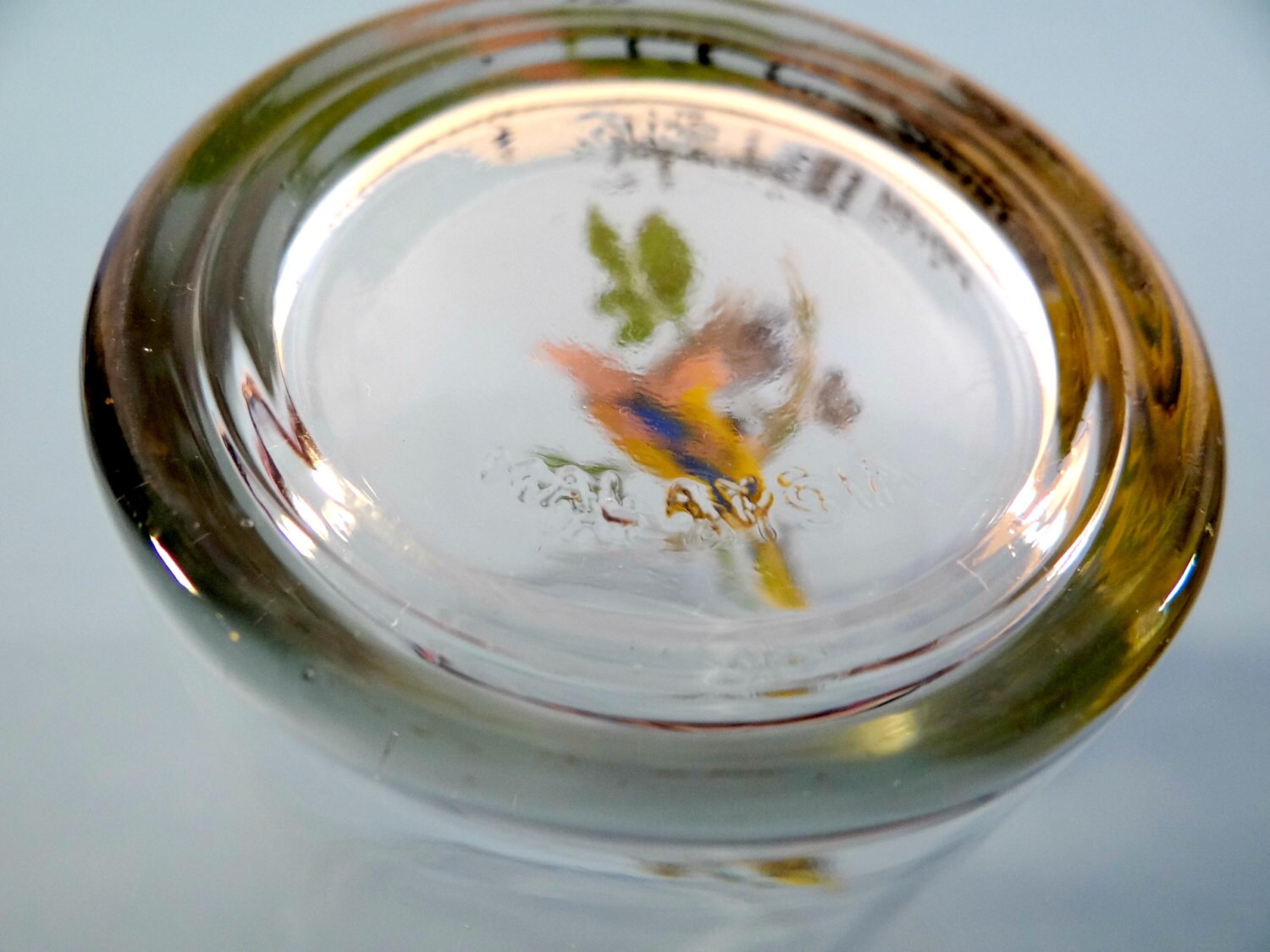 Vintage Exotic Bird Glasses Set Bird Glassware Set Hand Etsy