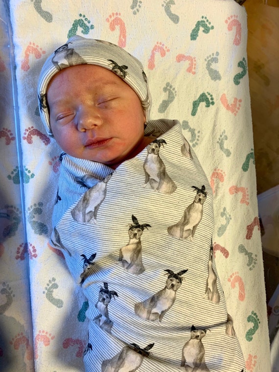 cozy swaddles