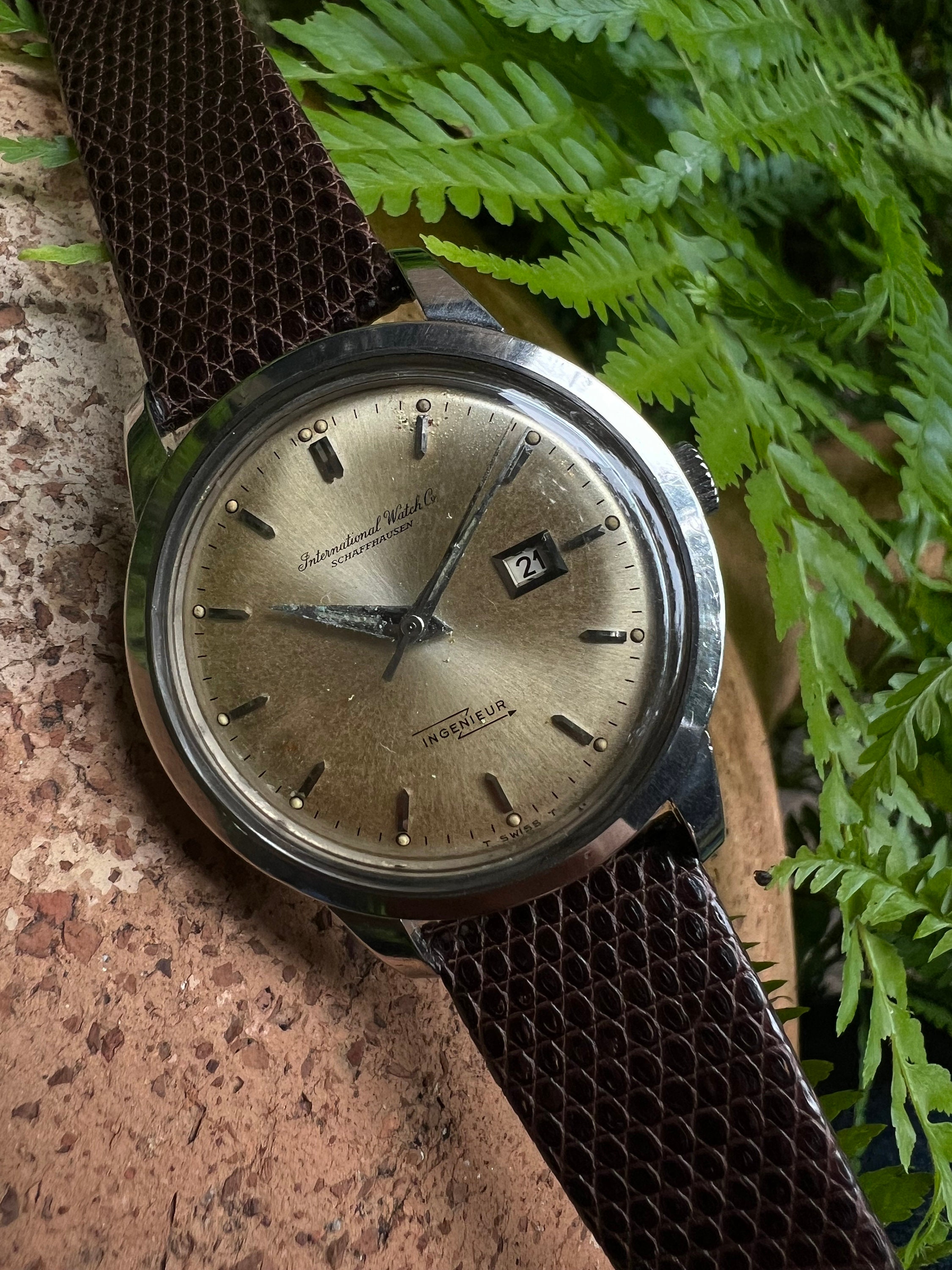 IWC - Circa 1960 - 1 year warranty