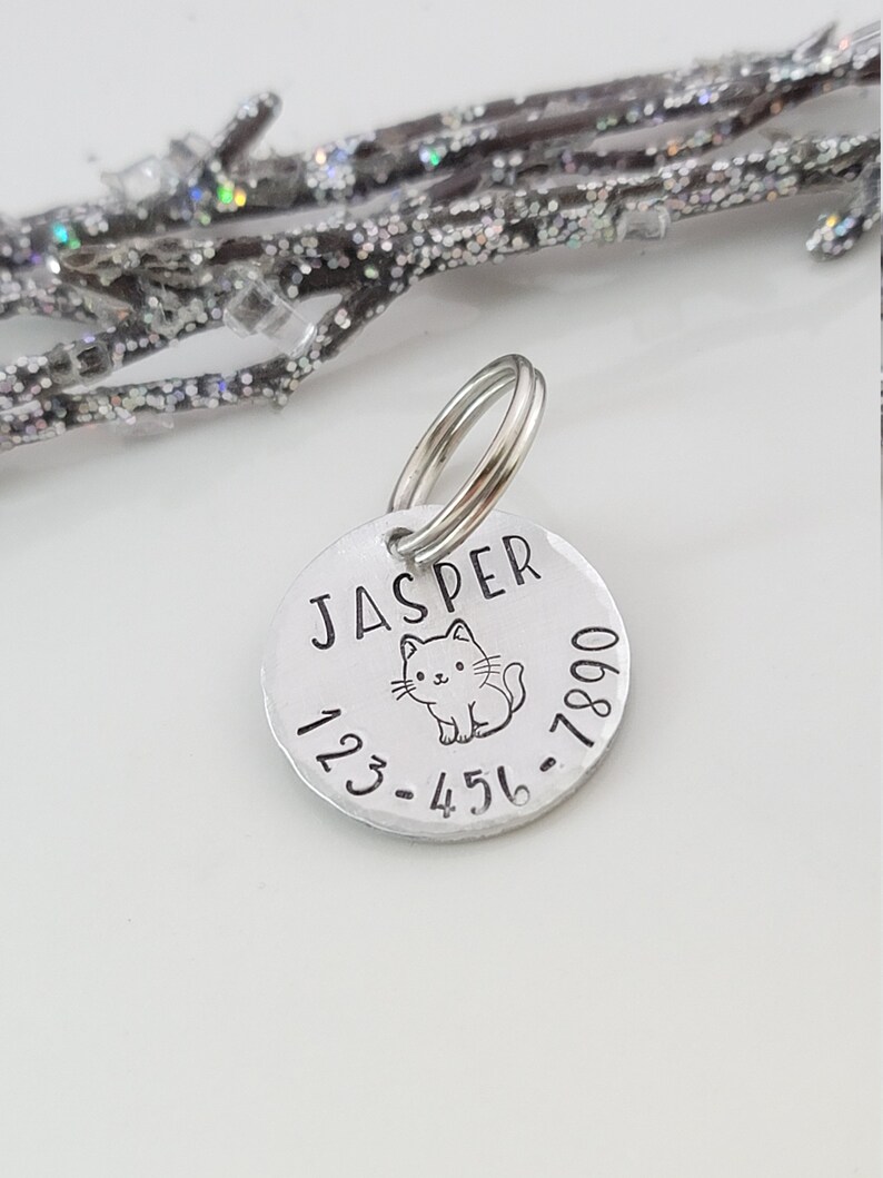 May include: Silver pet ID tag with a cat illustration and the name "Jasper" engraved on it. The tag also includes the phone number 123-456-7890.
