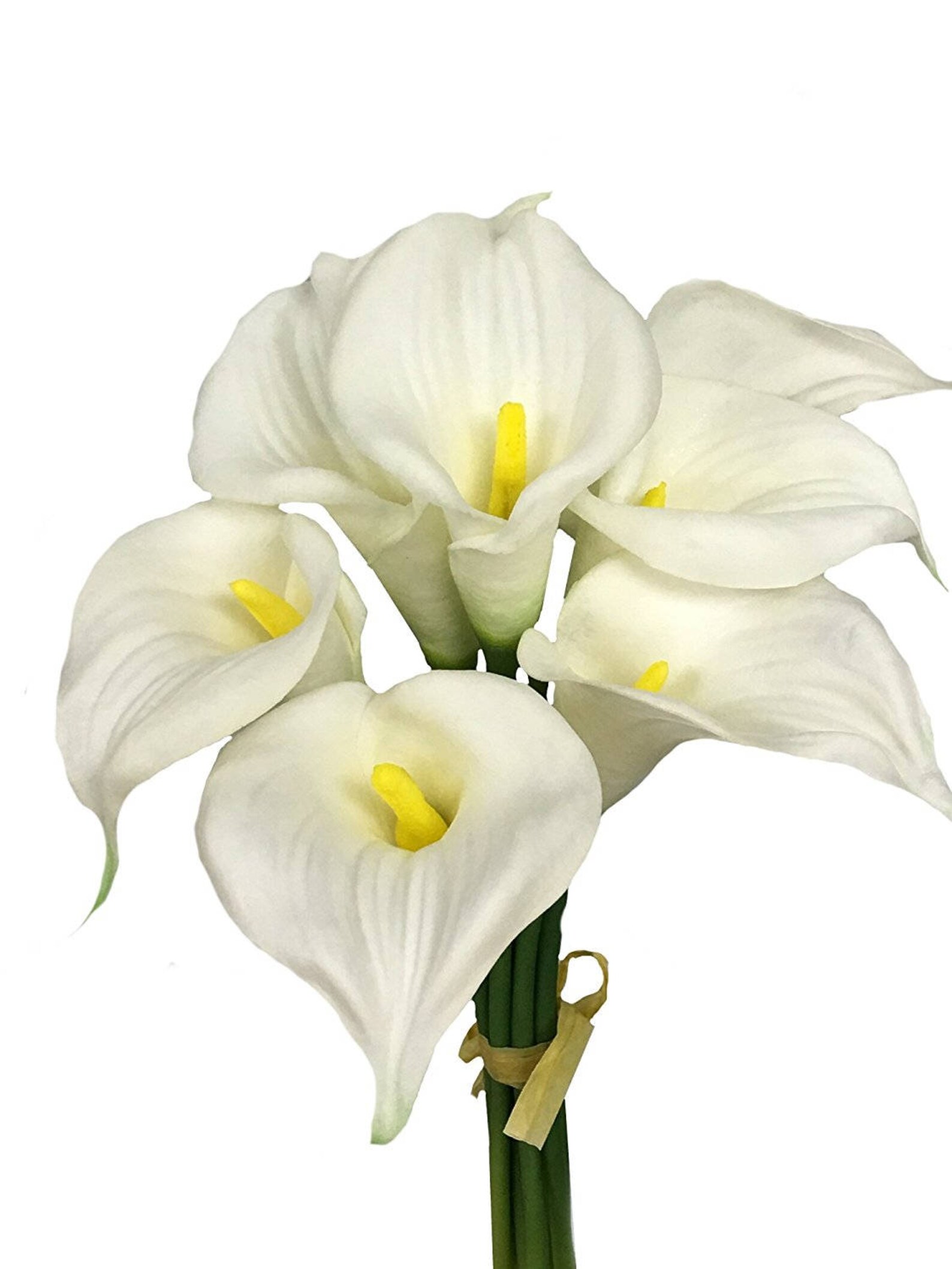 9stem large Bloom calla lily Long Stem Beautiful Keepsake