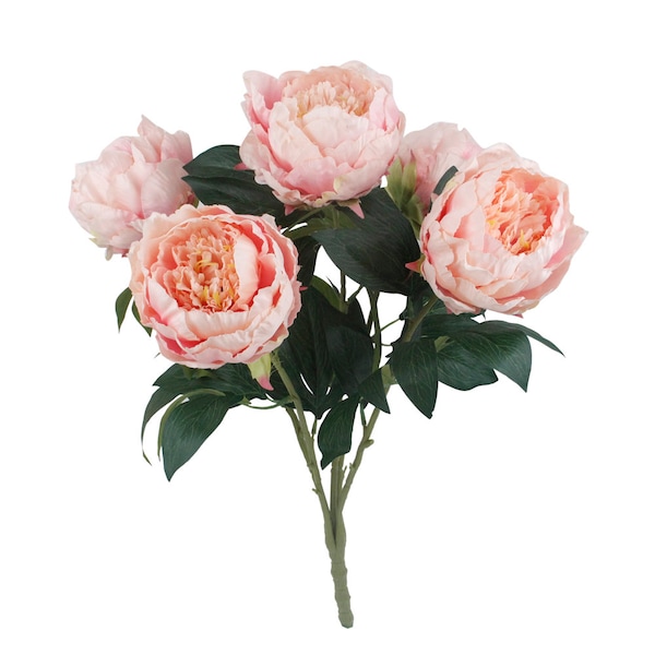 Elegant Premium Quality Silk Peony Bush in Ivory light champagne soft pink large blooms 21"tall