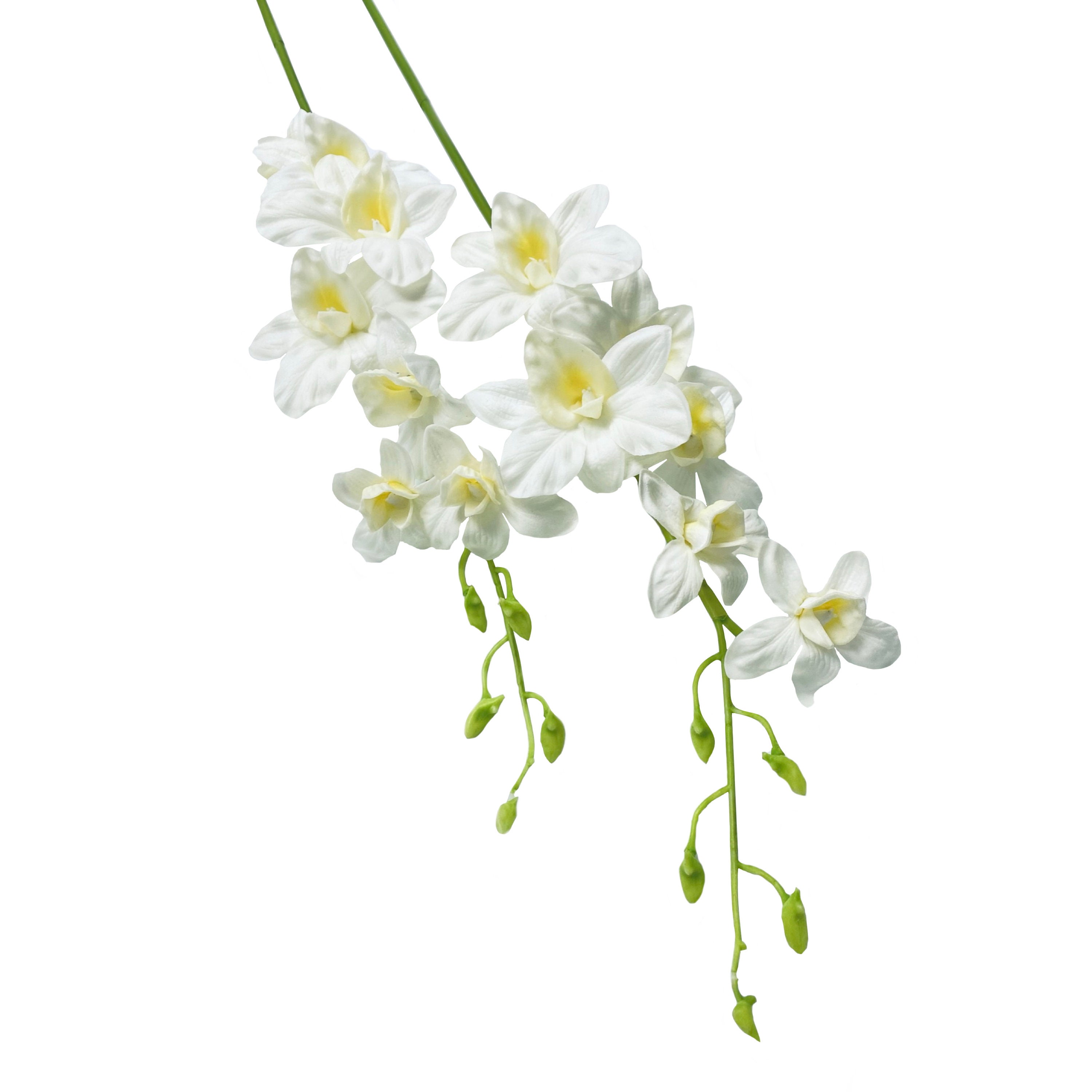 ゼクシィ掲載flua 2way Milky orchid ゼクシィ掲載flua 2way Milky orchid