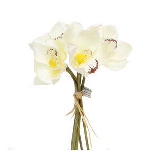 Cymbidium Orchid Bundle - Ivory Floral Arrangement, DIY Corsage Supplies