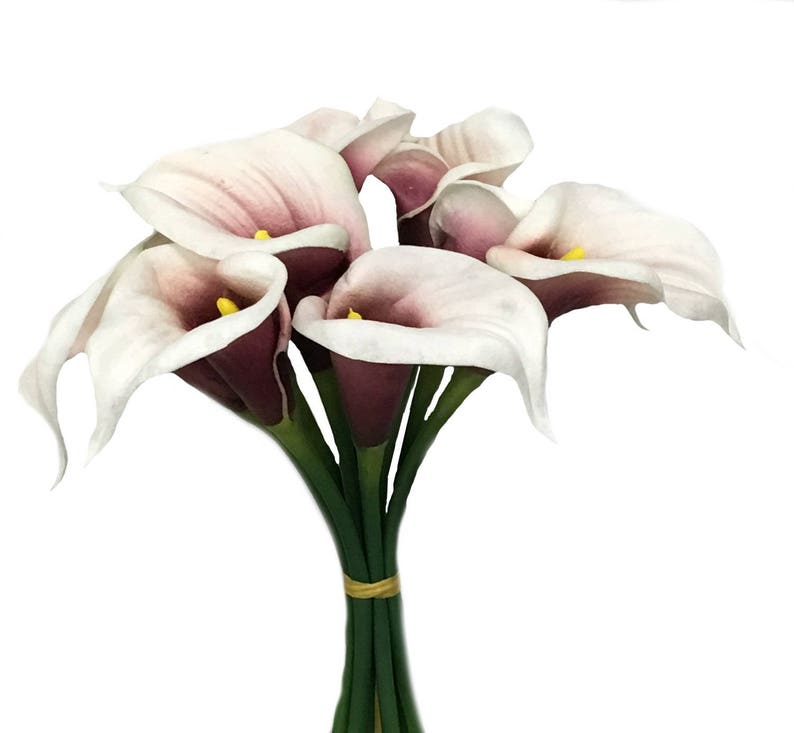 9stem large Bloom calla lily Long Stem Beautiful Keepsake