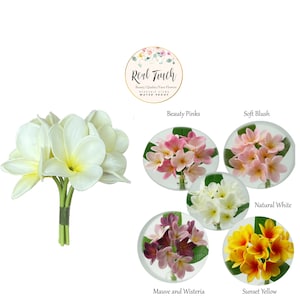Pick Flower Color-bundle of 6 Stems Jar or Tabletop Centerpiece ...