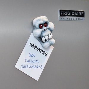 Bonesy Skull Magnet