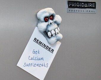 Bonesy Skull Magnet
