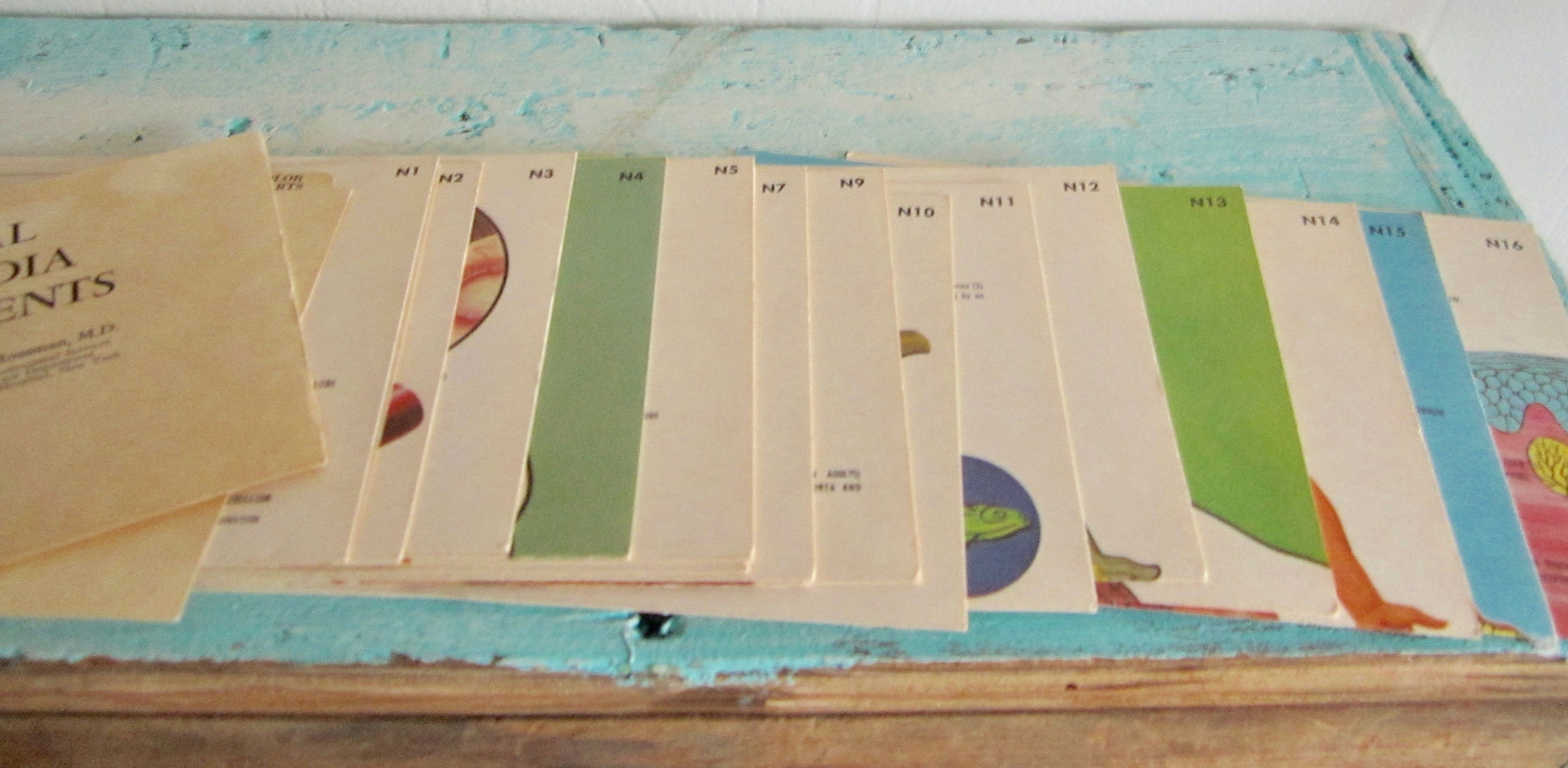 Vintage Humanbody Anatomy Medical Encyclopedia for New Parents | Etsy