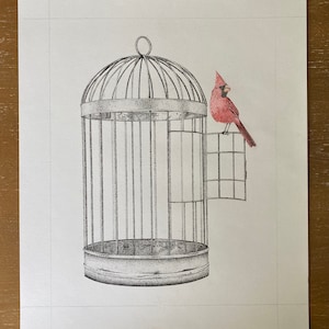 May include: A detailed pen and ink drawing of a birdcage with a red cardinal perched on the side. The birdcage is empty, with a circular top and vertical bars. The cardinal is a vibrant red color.