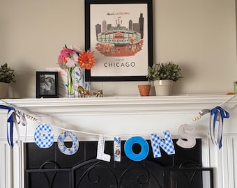 Go Lions Banner, Detroit Football Game Day Decor, Fabric Letter Garland
