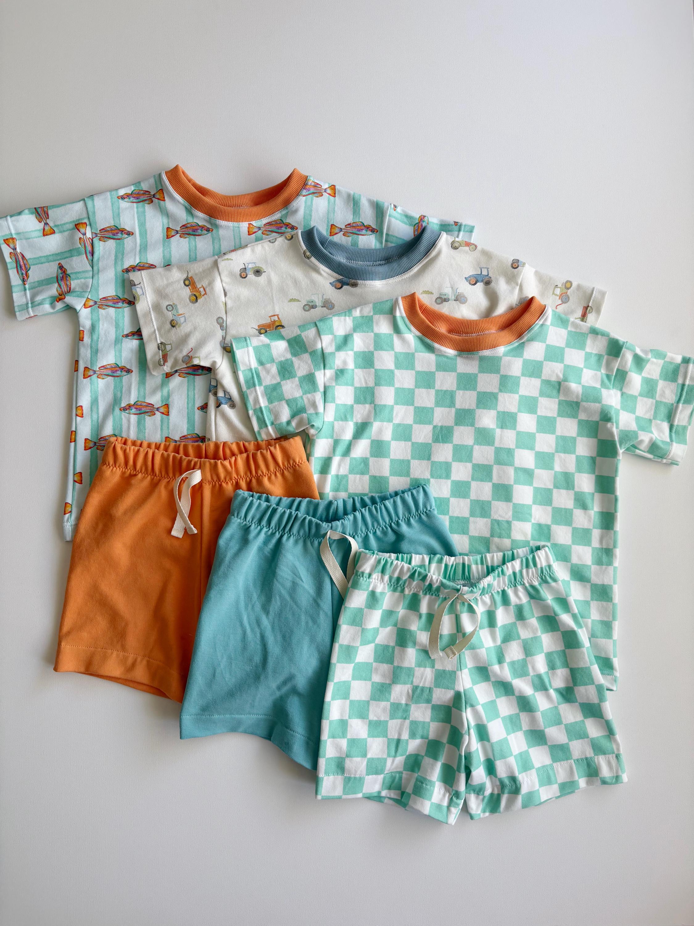 Toddler Boy Two Piece Summer Set, Organic Cotton Tee and Shorts Outfit, Handmade Baby and Children's Clothing