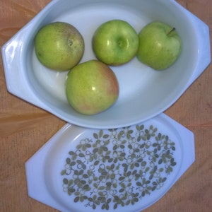 Pyrex Oblong Casserole Lidded Dish 2 1/2 QT