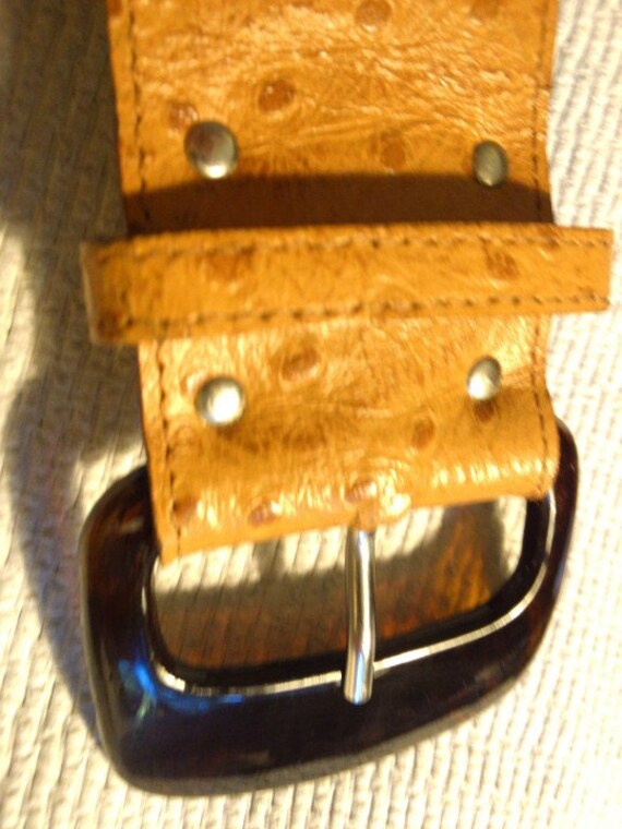 Belt Ostrich Leather Sale Ostrich Hide with Amber… - image 3